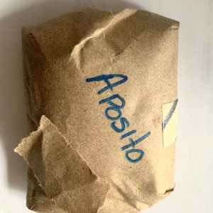 Aposito